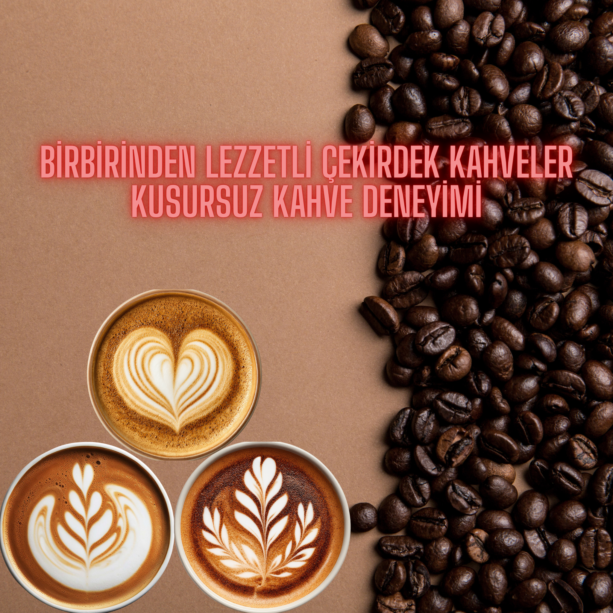 ÇEKİRDEKLERİ KEŞFET